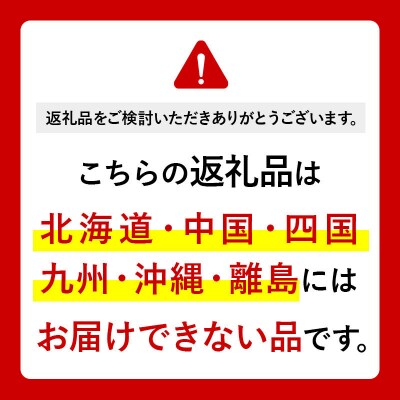 水《定期便10ヶ月》【ラベルレス】ピュアの森 500ml 24本×1箱|13_vic-012410a
