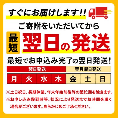 水《定期便12ヶ月》【ラベルレス】ピュアの森 500ml 24本×1箱|13_vic-012412a