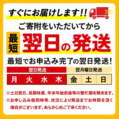 水 《定期便12ヶ月》 ピュアの森 500ml 24本×2箱 計48本|13_vic-014812