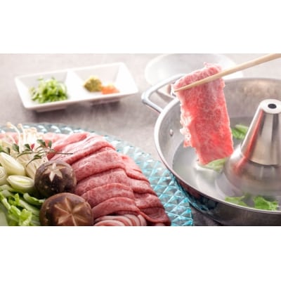 鹿児島県産黒毛和牛・黒豚しゃぶセット600g &生ハム切り落とし(75g×1P)