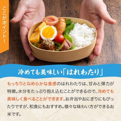 【令和8年産米】【先行受付】 米 はれわたり 5kg 特A 取得歴有 特別栽培米 青森県産