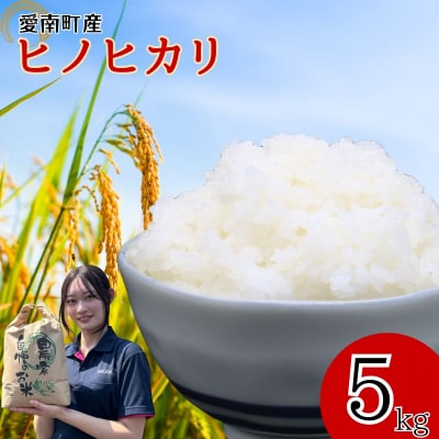 【先行予約】 令和8年度産 新米 ヒノヒカリ 5kg 愛媛県 愛南町 愛南町青果市場