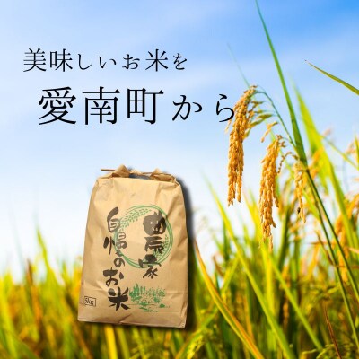 【先行予約】 令和8年度産 新米 ヒノヒカリ 10kg 愛媛県 愛南町 愛南町青果市場
