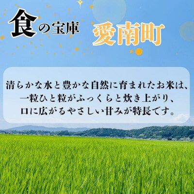 【先行予約】 令和8年度産 新米 ヒノヒカリ 10kg 愛媛県 愛南町 愛南町青果市場