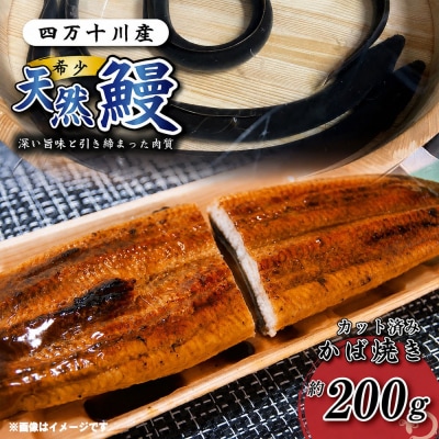 希少 四万十川産<天然うなぎ>蒲焼(約200g)R7