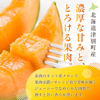 【R8年収穫分】【数量限定】さのさん家のメロン(L玉以上)1玉 湧き水栽培 さの農場| 北海道津別町