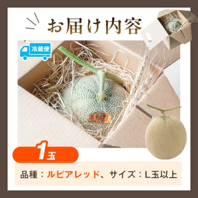 【R8年収穫分】【数量限定】さのさん家のメロン(L玉以上)1玉 湧き水栽培 さの農場| 北海道津別町