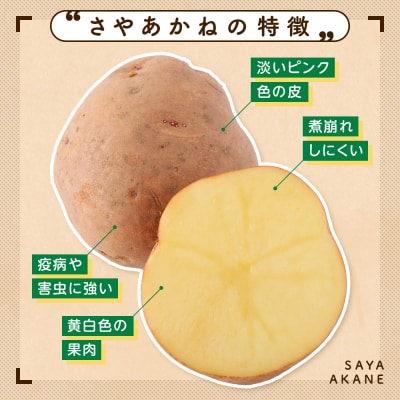 【数量限定】R8年産先行受付 じゃがいも(さやあかね) 有機栽培 10kg | 北海道津別町
