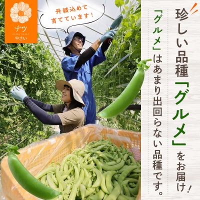 R8年産 スナップえんどう(品種:グルメ) 500g ピンクの八百屋〜ナツやさい〜 | 北海道津別町