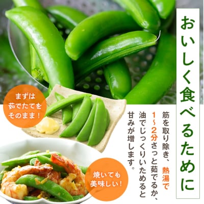 R8年産 スナップえんどう(品種:グルメ) 500g ピンクの八百屋〜ナツやさい〜 | 北海道津別町