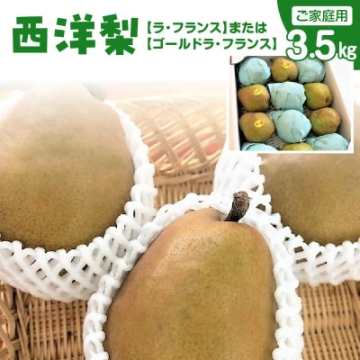 訳あり(ご家庭用) ラフランス またはゴールドラ・フランス 3.5kg 西洋梨 0075-2619