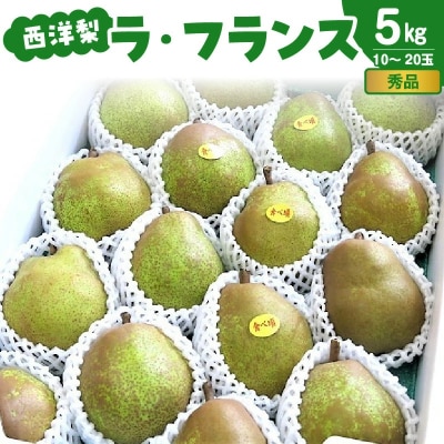西洋梨(ラフランス)5kg　中玉～大玉　0075-2620