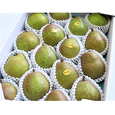 西洋梨(ラフランス)5kg　中玉～大玉　0075-2620