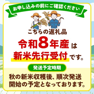 《令和8年産 新米受付》定期便6ヶ月 あきたこまち 10kg 無洗米|15_mge-011006ms