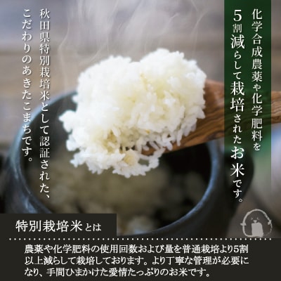 【令和7年産】秋田県特別栽培米あきたこまちまごころ米(無洗米)5kg【ふるさと納税3.0】