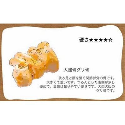 【大型犬向け】国産牛大腿骨グリ骨 Lovelybone