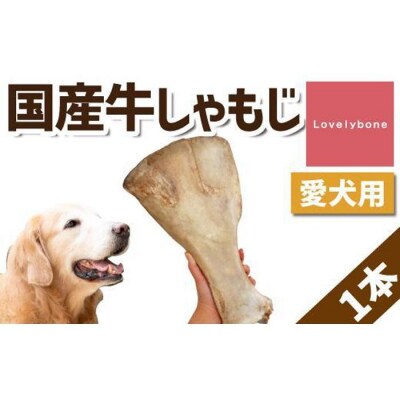 【大型犬向け】国産牛しゃもじ Lovelybone