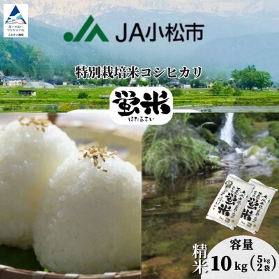 【先行予約】 令和8年産 「 特別栽培米コシヒカリ 」 精米 蛍米 10kg(5kg×2袋)
