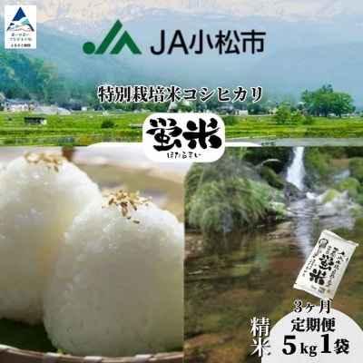 【先行予約】【定期便】 令和8年産 「 特別栽培米コシヒカリ 」 精米 蛍米 5kg×3ヶ月(毎月)