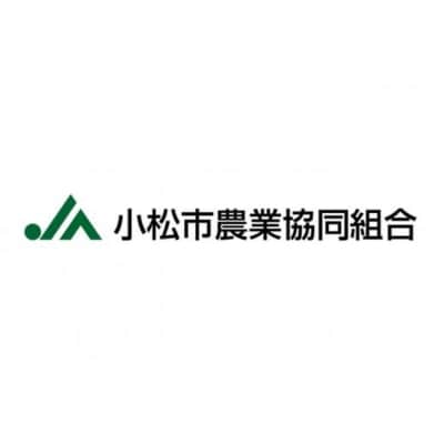 【先行予約】【定期便】 令和8年産 「 特別栽培米コシヒカリ 」 精米 蛍米 5kg×3ヶ月(毎月)