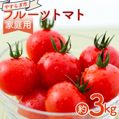【2027年1月以降発送】フルーツトマト 3kg 家庭用 高知 訳あり トマト yr-0068