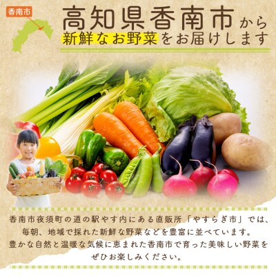 【2027年1月以降発送】フルーツトマト 3kg 家庭用 高知 訳あり トマト yr-0068