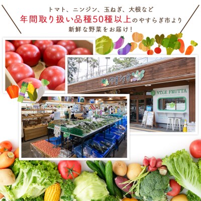 【2027年1月以降発送】フルーツトマト 3kg 家庭用 高知 訳あり トマト yr-0068