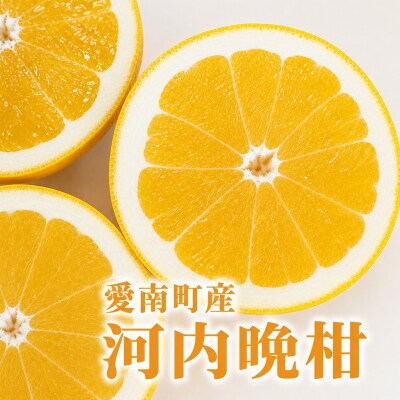 【先行予約】 河内晩柑 6kg+傷み補償500g  愛南ゴールド 愛媛県 愛南町 山口農園