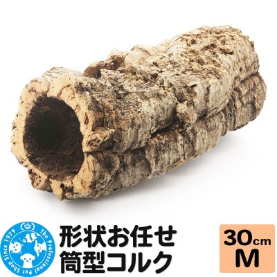 形状お任せ 筒型コルク Mサイズ 長さ30cm エアプランツ|09_chm-cl0101cb