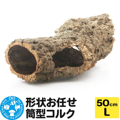 形状お任せ 筒型コルク Lサイズ 長さ50cm エアプランツ|09_chm-cl0101dc