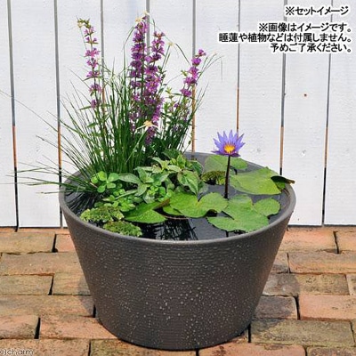 睡蓮鉢 メダカ鉢 金魚鉢 直径44cm 高さ25cm 軽量2kg|09_chm-cs0101b