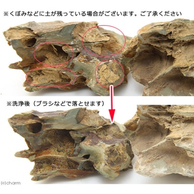 陽火石 サイズミックス(約5～30cm)10kg|09_chm-220101
