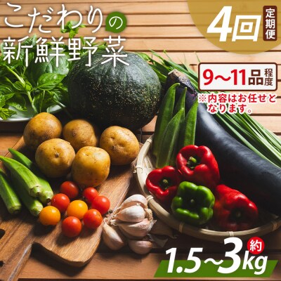 こだわりの新鮮野菜 4回定期 Waf-0004