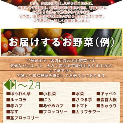 こだわりの新鮮野菜 4回定期 Waf-0004