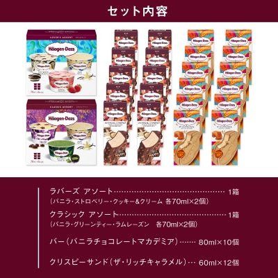 ボリューム満点!!ハーゲンダッツ 3種の贅沢ギフト_H0016-136