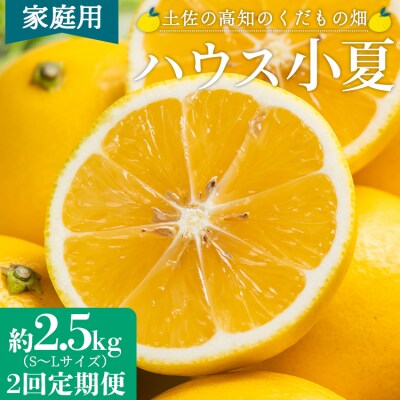 2回定期便 小夏 土佐小夏 日向夏 高知 温室 ハウス 約2.5kg 訳あり Wkd-0033