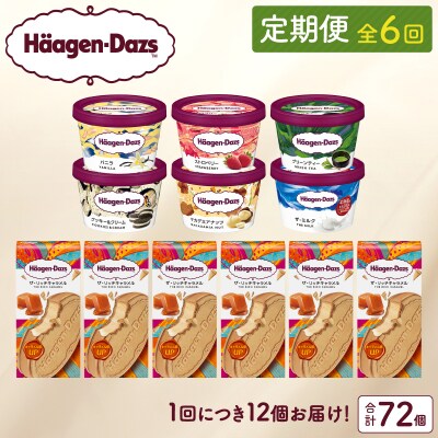 <全6回定期便・連続>ハーゲンダッツ『ミニカップ&クリスピーサンド(72個)』_H0016-138