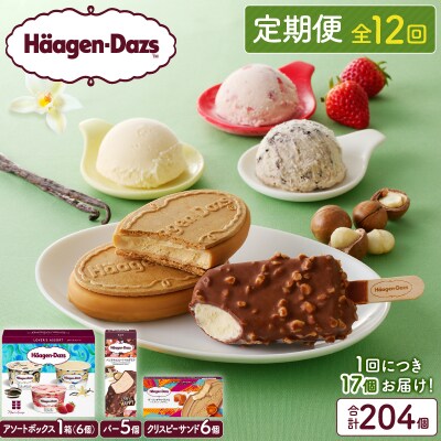 <全12回定期便・連続>ハーゲンダッツ『3種の贅沢ギフトセット(204個)』_H0016-1441
