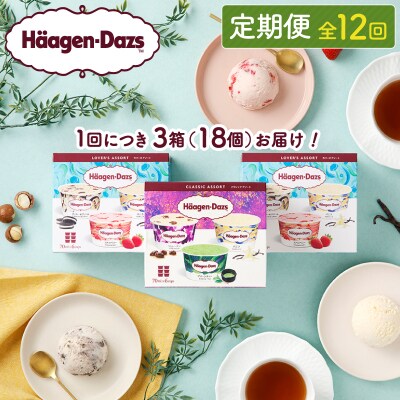 <全12回定期便・連続>『アソートボックス3箱セット　合計36箱』_H0016-149