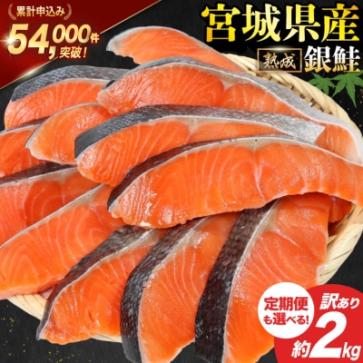 訳あり 鮭 宮城県産 切身 約2kg サーモン 国産 [20563343]宮城東洋 小分け 鮭切り身