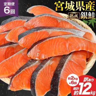 定期便《6ヶ月》 訳あり 宮城県産 銀鮭 切身 約2kg×6回 計12kg [20564499]