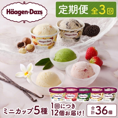 <全3回・連続>お試し定期便!ミニカップ セット_H0016-157