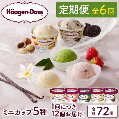 <全6回定期便・連続>ハーゲンダッツ『定番ミニカップ5種セット(合計72個)』_H0016-158