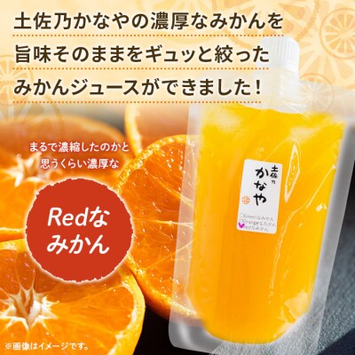 みかんジュース100% ジュース ストレート 土佐乃かなや Redなみかん 計48本 be-0034
