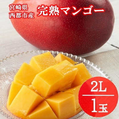 【フルーツ専門店厳選】宮崎完熟マンゴー2Lサイズ1玉(宮崎県西都市産)先行受付[3315]