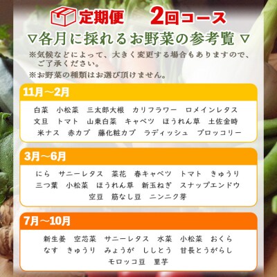 【定期便】野菜 2回コース 高知県香南市産 旬のお野菜詰合せ(10～13品目) Wpr-0018