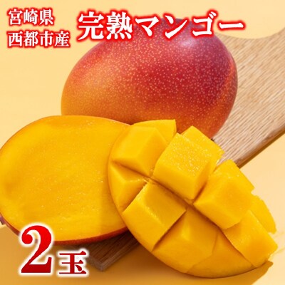 【フルーツ専門店厳選】宮崎完熟マンゴー2玉(計500g)宮崎県西都市産【先行受付】[3316]