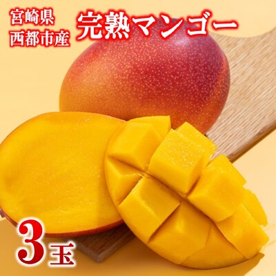 【フルーツ専門店厳選】宮崎完熟マンゴー3玉(計750g)宮崎県西都市産【先行受付】[3250]