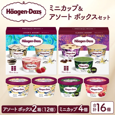 ハーゲンダッツ バラエティセット(アソート&ミニカップ)_H0026-102