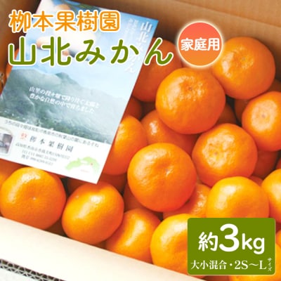 家庭用 栁本果樹園の山北みかん 3kg 大小混合(2S～L) yg-0034